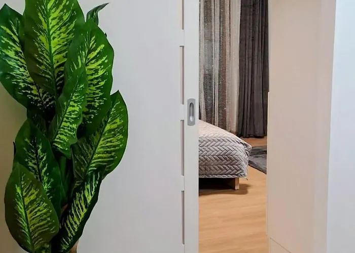 Stella Di Apartman Sella Nevea